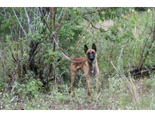 ������ ������ 2013 089.jpg