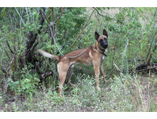 ������ ������ 2013 090.jpg