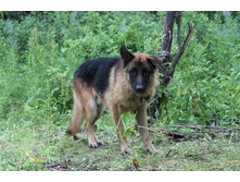 ������ ������ 2013 095.jpg