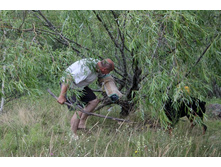 ������ ������ 2013 099.jpg