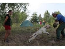 ������ ������ 2013 131.jpg