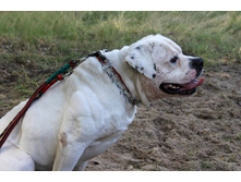 ������ ������ 2013 140.jpg