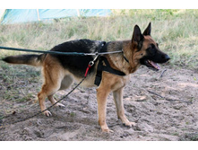 ������ ������ 2013 157.jpg