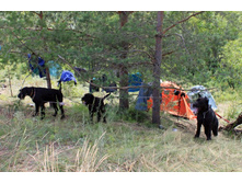 ������ ������ 2013 161.jpg