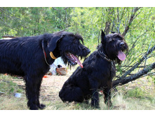 ������ ������ 2013 168.jpg