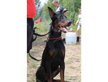 ������ ������ 2013 171.jpg