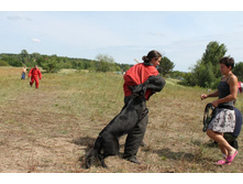 ������ ������ 2013 177.jpg