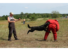 ������ ������ 2013 186.jpg