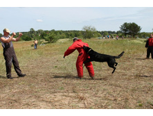 ������ ������ 2013 187.jpg