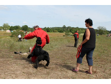 ������ ������ 2013 195.jpg