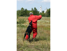 ������ ������ 2013 239.jpg