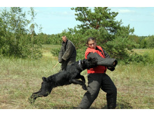 ������ ������ 2013 275.jpg