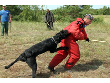 ������ ������ 2013 286.jpg