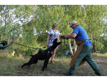 ������ ������ 2013 327.jpg