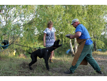 ������ ������ 2013 332.jpg