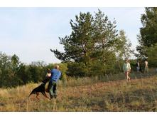 ������ ������ 2013 347.jpg