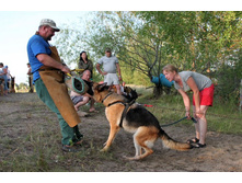 ������ ������ 2013 445.jpg