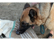 ������ ������ 2013 447.jpg