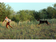 ������ ������ 2013 587.jpg