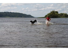 ������ ������ 2013 760.jpg