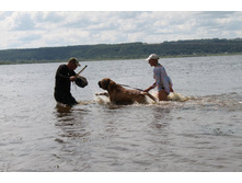 ������ ������ 2013 861.jpg