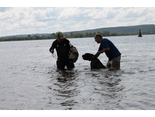 ������ ������ 2013 921.jpg