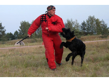 ������ ������ 2013 940.jpg