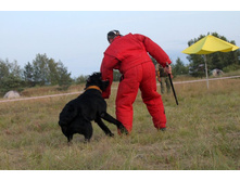 ������ ������ 2013 944.jpg