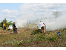 ������ ������ 2013 945.jpg