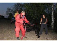 ������ ������ 2013 1195.jpg