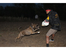 ������ ������ 2013 1212.jpg