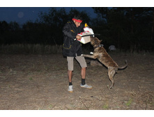 ������ ������ 2013 1214.jpg