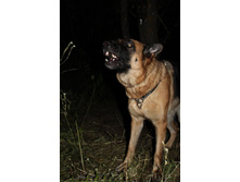 ������ ������ 2013 1237.jpg