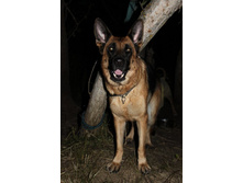 ������ ������ 2013 1239.jpg