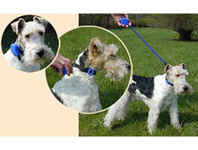 ���*��� ���*� ��� ��� � ����)))