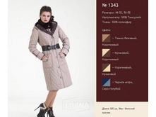 ������ 1343.