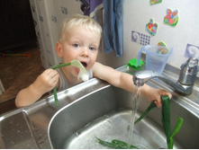 �������� ����