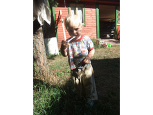 ������ �����