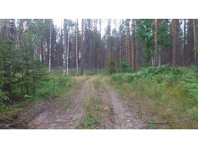 �������� 13 �� ����� ���� ������...