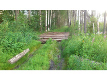 ������������� ���������