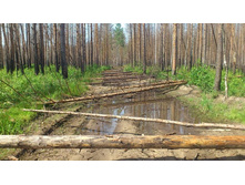 � ������� ��� ���� �������