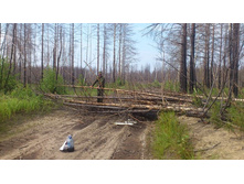 �� ������ ��� � �������� � ������� �� ��� ����� ������ ���������� ������������ :)