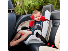 ���������� ������ 2-3 (�� 15 �� 36��)  Bodyguard hauck �������� ����-������� ���� 10900�.png