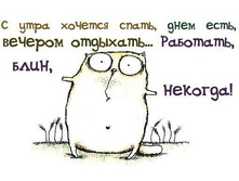 5 �������� - �������.jpg