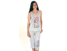 �������� � ��������