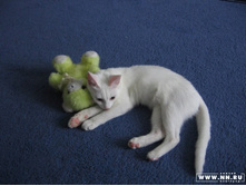 �� ������ � ������:))