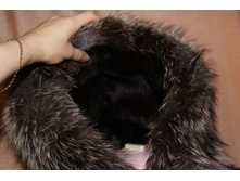 ��� ������ 017.jpg