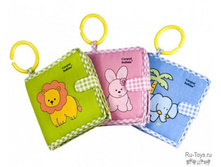 CAN*POL_������ ������-�������_289 ���