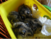 ���� ������1.JPG