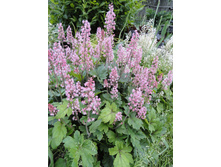 �������� ������ ����